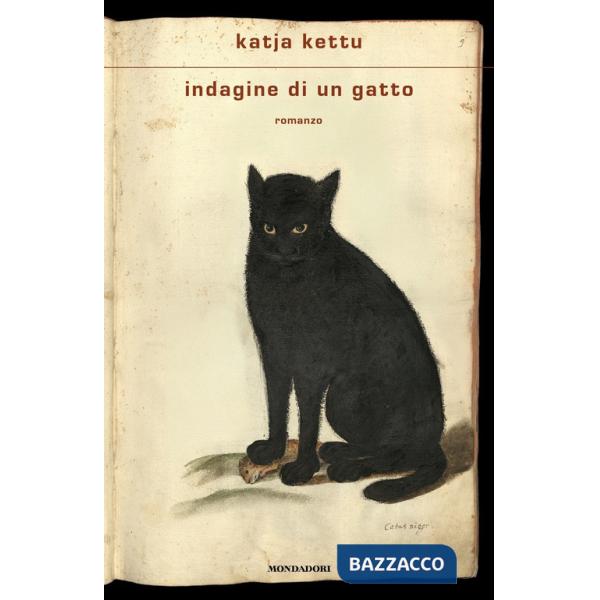 Indagine di un gatto