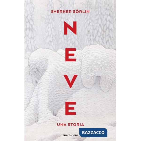 Neve. Una storia