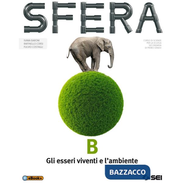SFERA B VITA