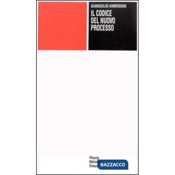 Codice nel nuovo processo (Il)