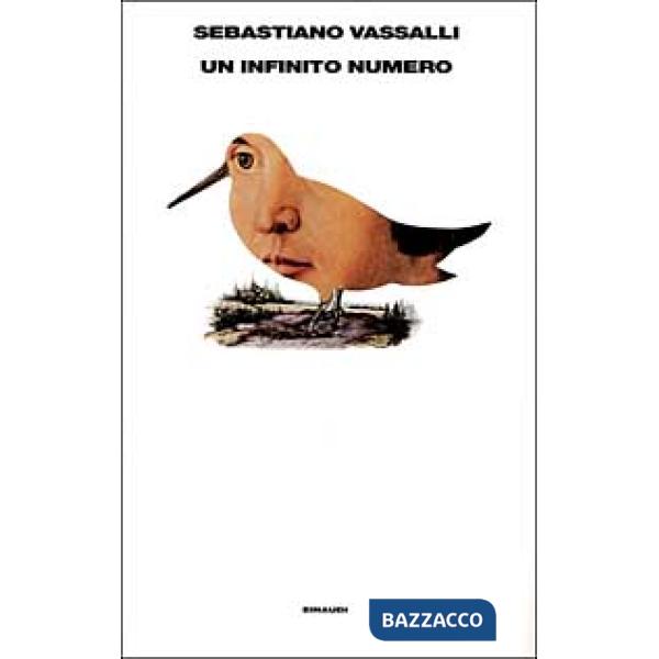 Infinito numero. Virgilio e Mecenate nel paese dei Rasna (Un)