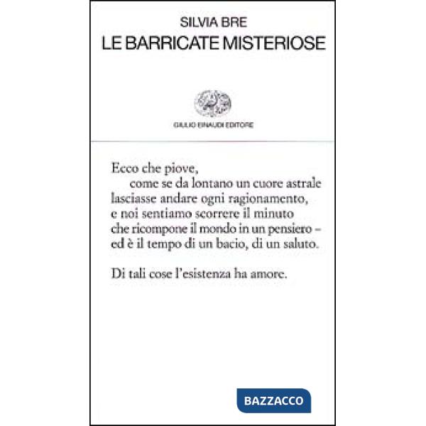 Barricate misteriose (Le)