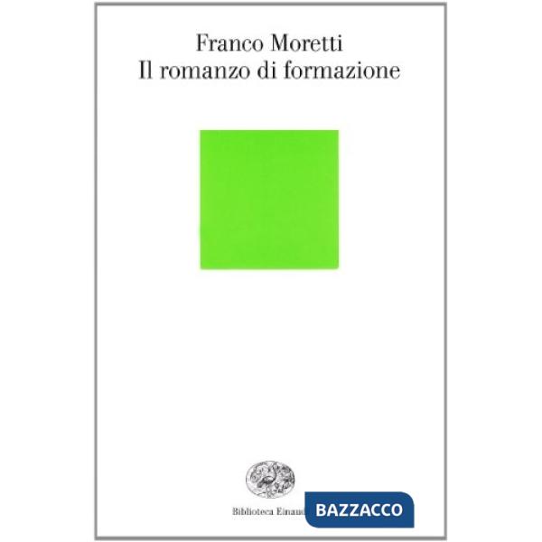 Romanzo di formazione (Il)