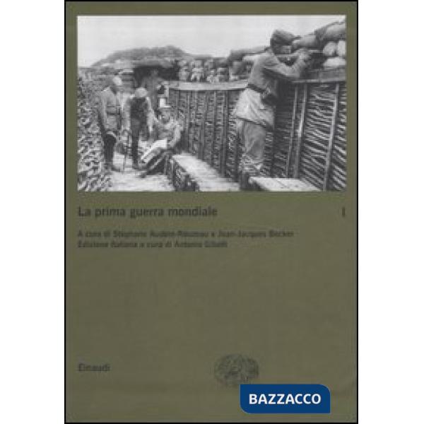 Prima guerra mondiale (La). Vol. 1