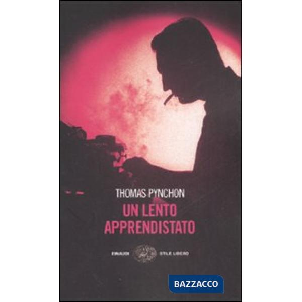 Lento apprendistato (Un)