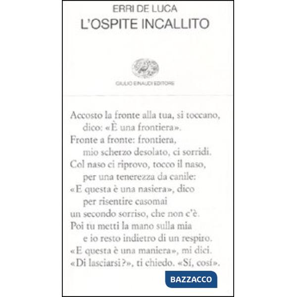 Ospite incallito (L')