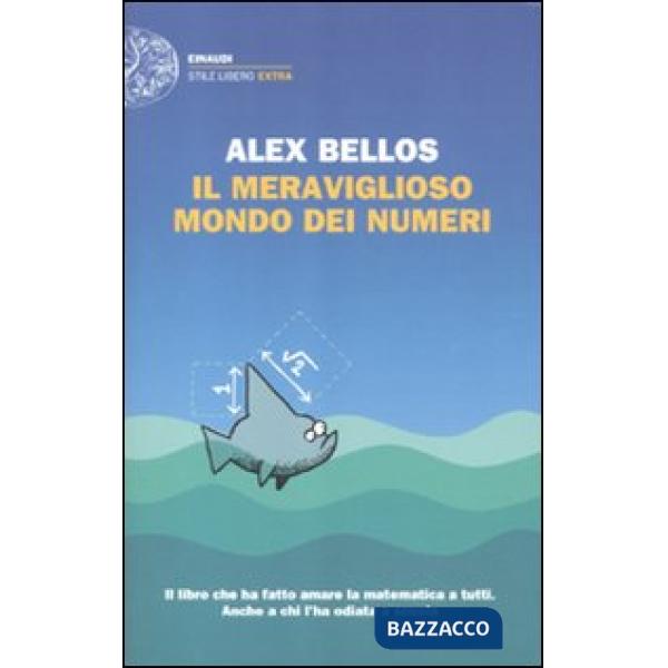 Meraviglioso mondo dei numeri (Il)