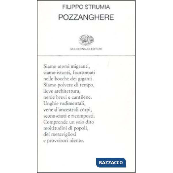 Pozzanghere