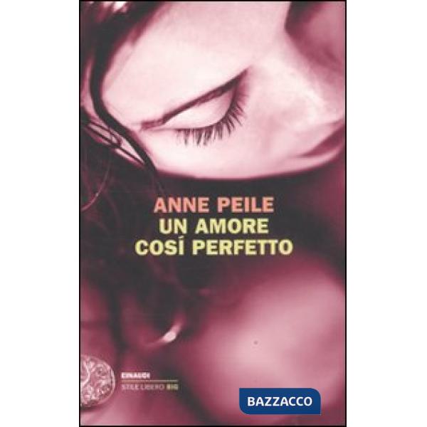 Amore così perfetto (Un)