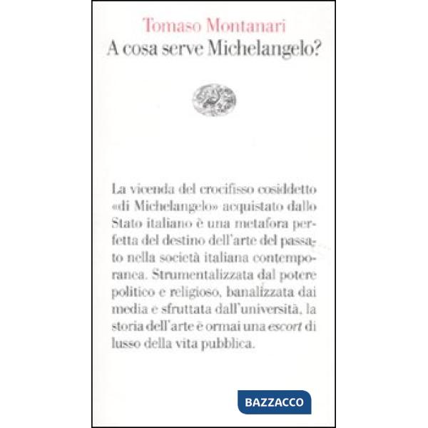 A cosa serve Michelangelo?