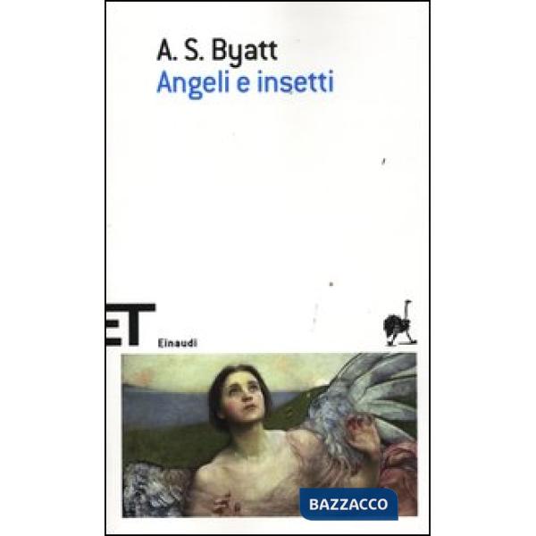 Angeli e insetti