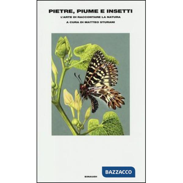 Pietre, piume e insetti. L'arte di raccontare la natura
