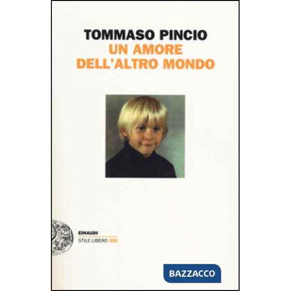 Amore dell'altro mondo (Un)