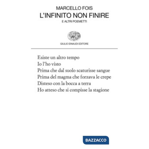 Infinito non finire (L')