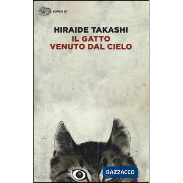 Gatto venuto dal cielo (Il)