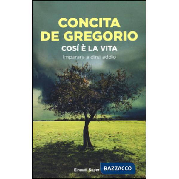 Così è la vita. Imparare a dirsi addio
