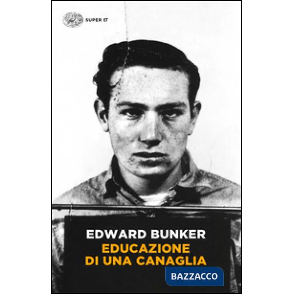 Educazione di una canaglia