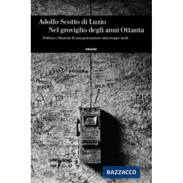 Nel groviglio degli anni Ottanta, Politica e illusioni di una generazione nata troppo tardi