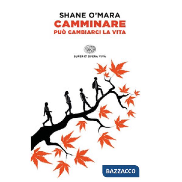 Camminare può cambiarci la vita