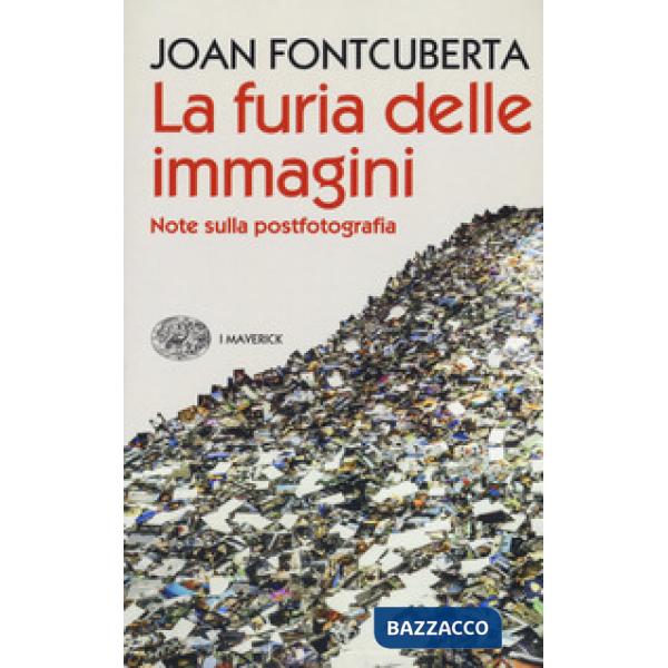 Furia delle immagini. Note sulla postfotografia (La)