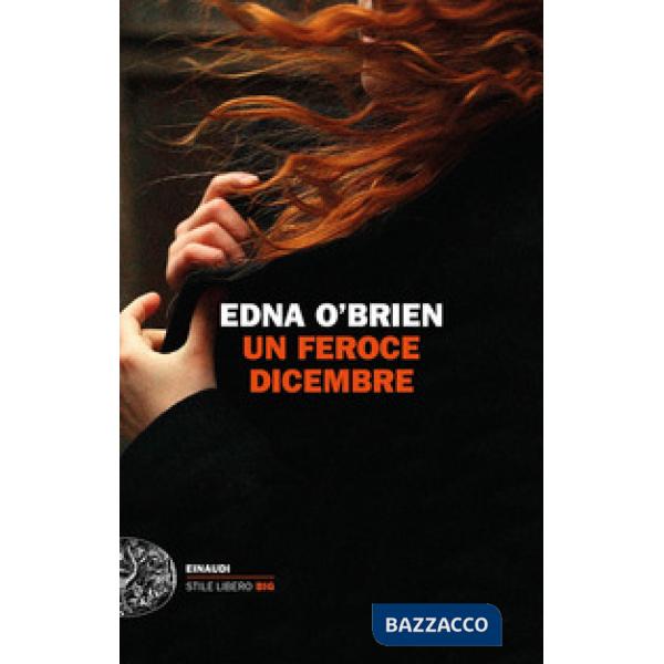 Feroce dicembre (Un)