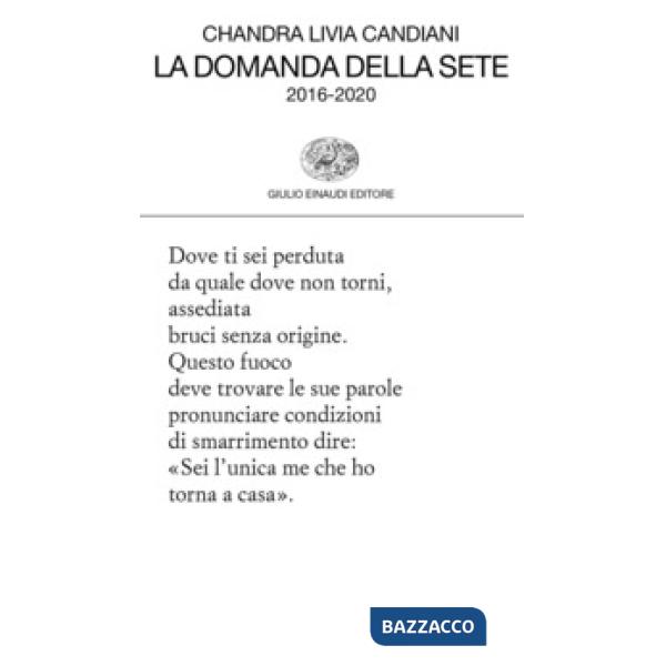 Domanda della sete 2016-2020 (La)