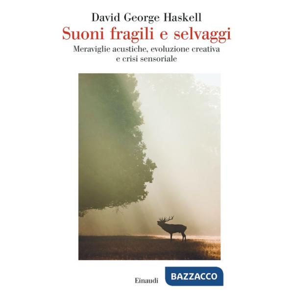 Suoni fragili e selvaggi. Meraviglie acustiche, evoluzione creativa e crisi sensoriale