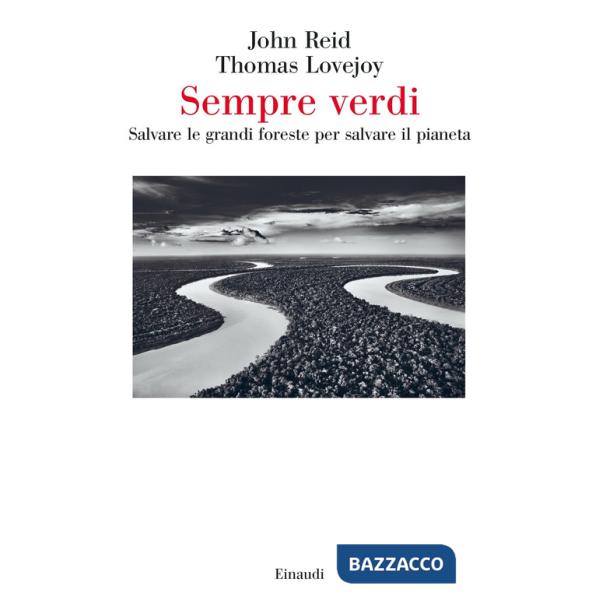 Sempre verdi. Salvare le grandi foreste per salvare il pianeta