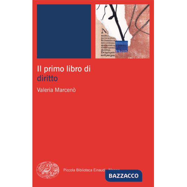 Primo libro di diritto (Il)
