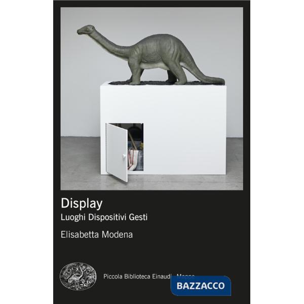Display. Luoghi, dispositivi, gesti