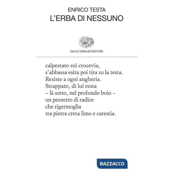 Erba di nessuno (L')