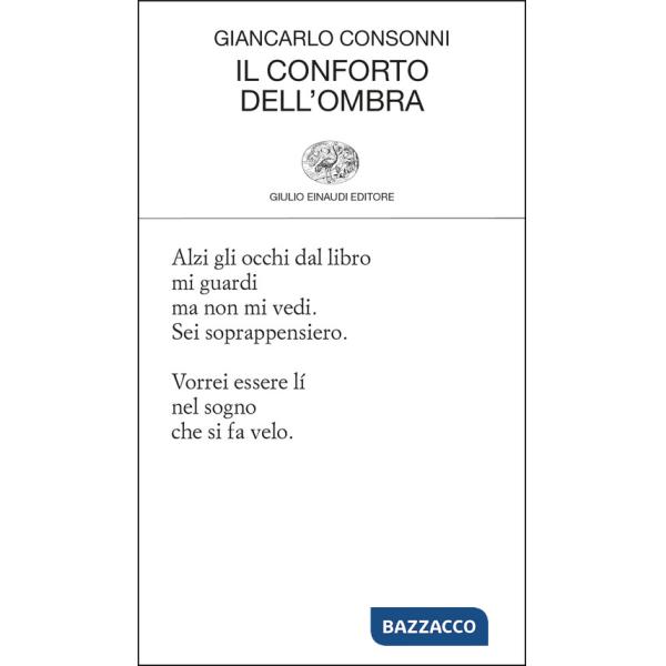 Conforto dell'ombra (Il)