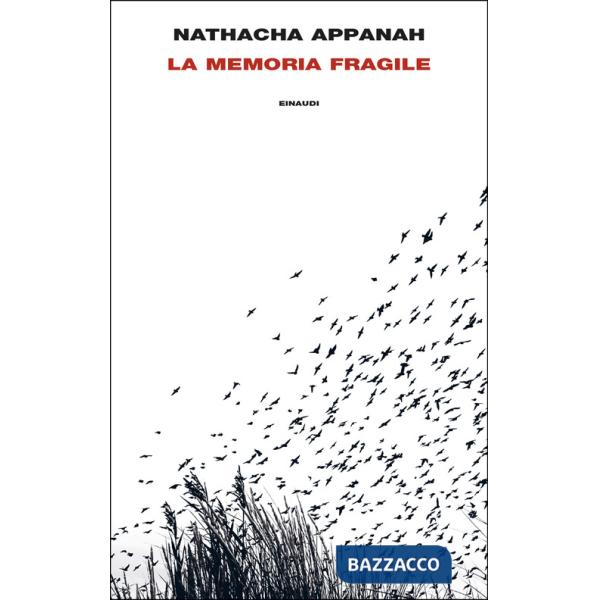 Memoria fragile (La)