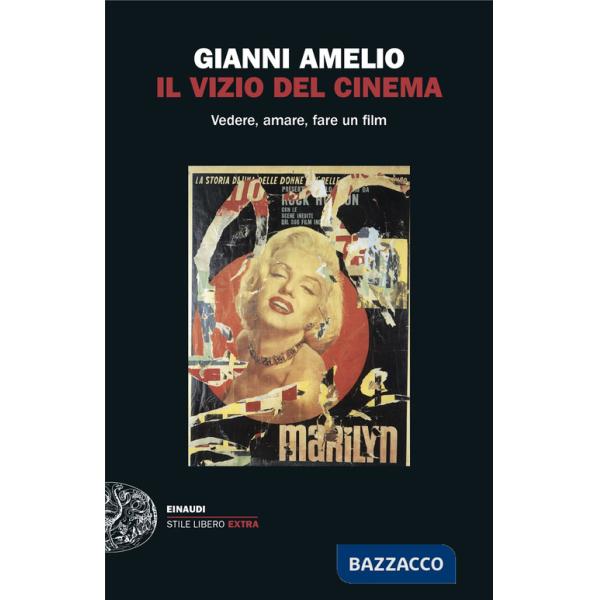 Vizio del cinema. Vedere, amare, fare un film (Il)