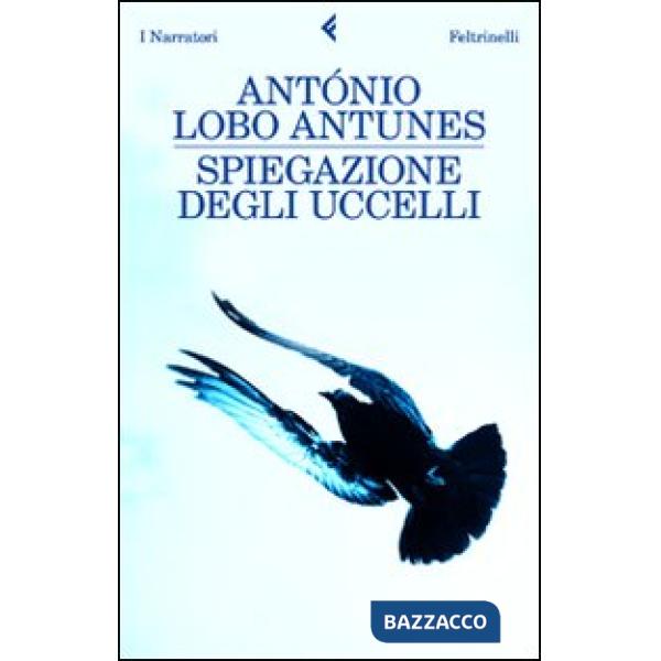 Spiegazione degli uccelli