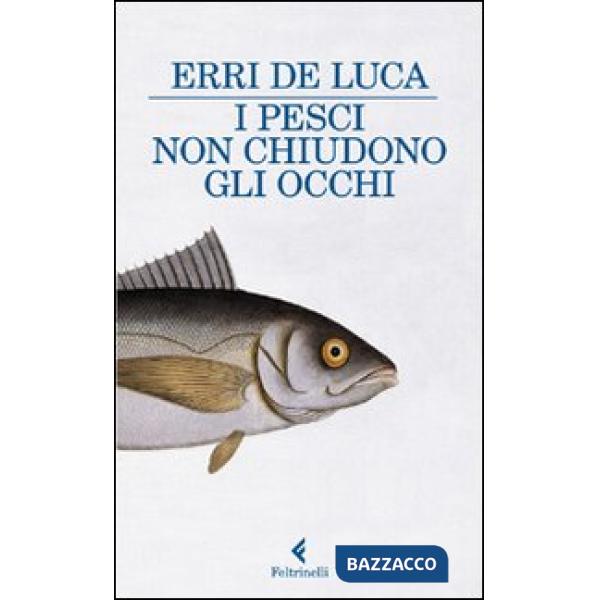 Pesci non chiudono gli occhi (I)