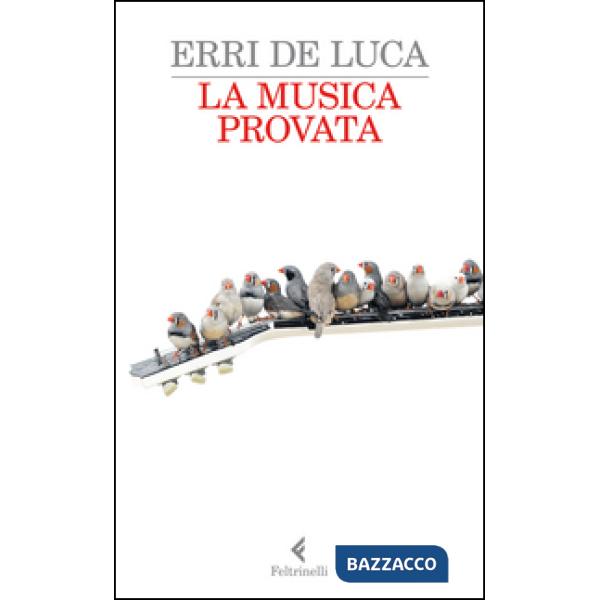 Musica provata (La)