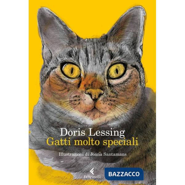 Gatti molto speciali