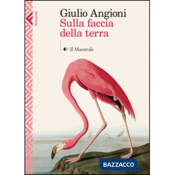 Sulla faccia della terra