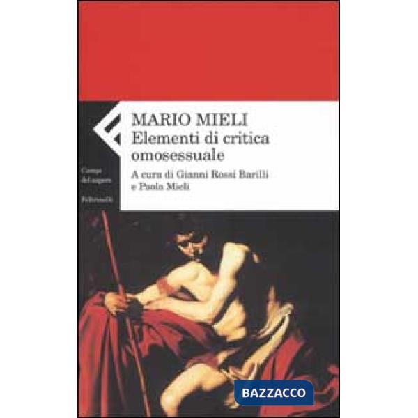 Elementi di critica omosessuale