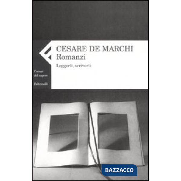 Romanzi. Leggerli, scriverli