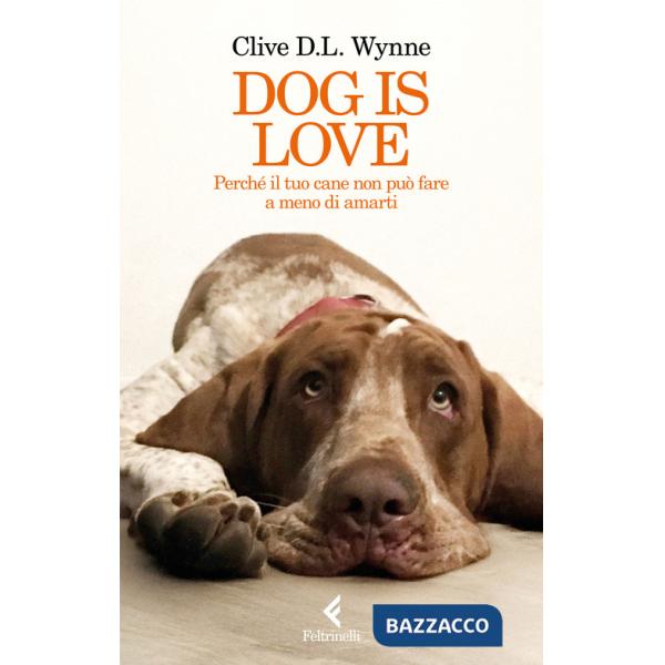Dog is love. Perché il tuo cane non può fare a meno di amarti
