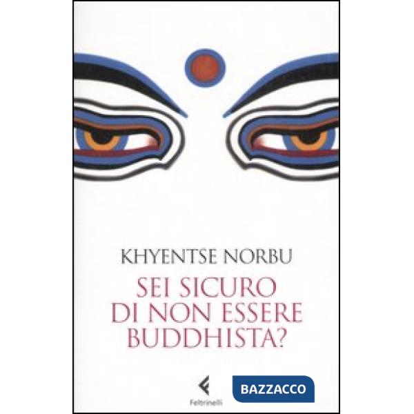Sei sicuro di non essere buddhista?