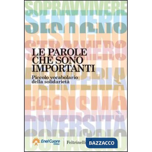 Parole che sono importanti. Piccolo vocabolario della solidarietà (Le)
