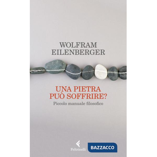 Pietra può soffrire? Piccolo manuale filosofico (Una)