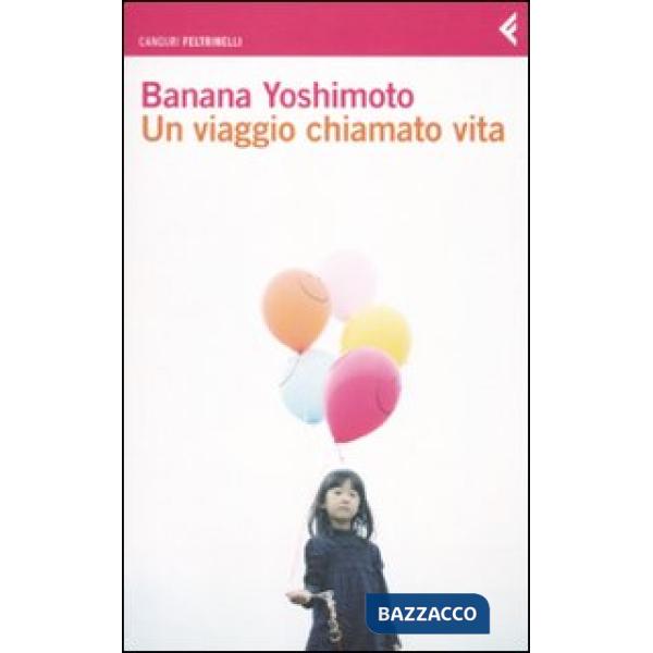 Viaggio chiamato vita (Un)