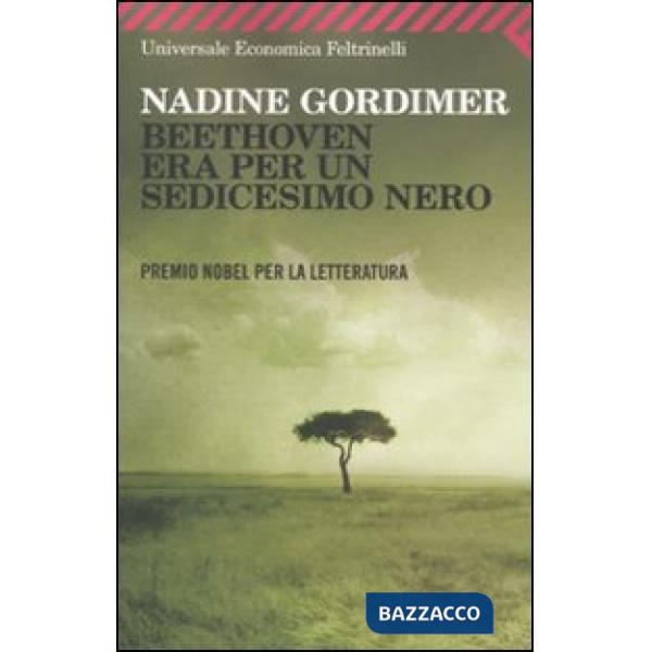 Beethoven era per un sedicesimo nero