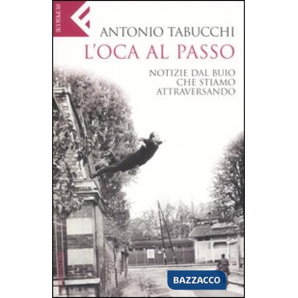 Oca al passo. Notizie dal buio che stiamo attraversando (L')