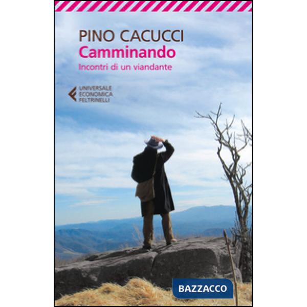 Camminando. Incontri di un viandante