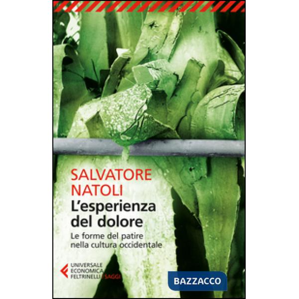Esperienza del dolore. Le forme del patire nella cultura occidentale (L')